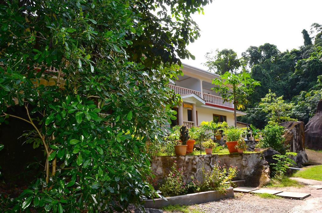 ฟอเรสท์ ลอดจ์ เกสต์ เฮาส์ Hotel Bel Ombre ภายนอก รูปภาพ