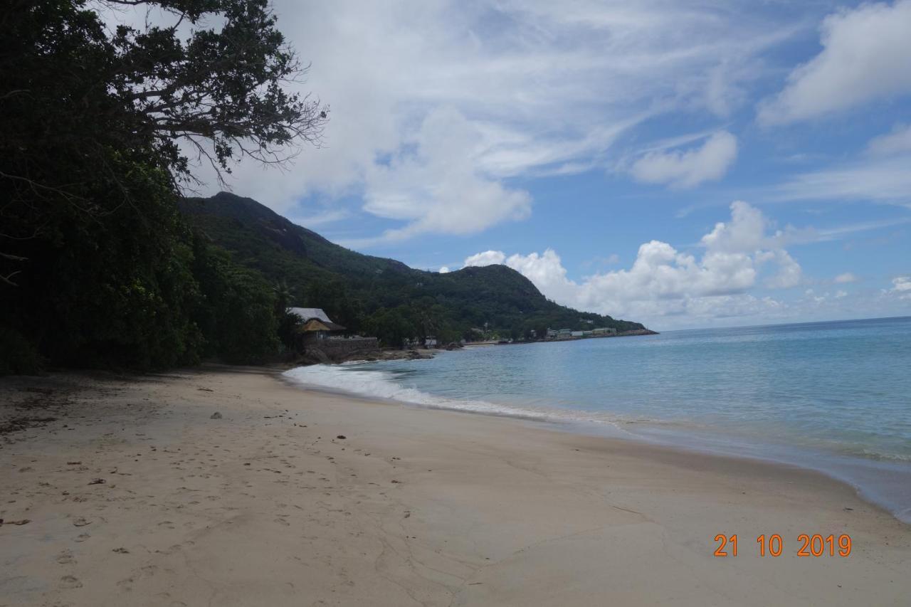 ฟอเรสท์ ลอดจ์ เกสต์ เฮาส์ Hotel Bel Ombre ภายนอก รูปภาพ